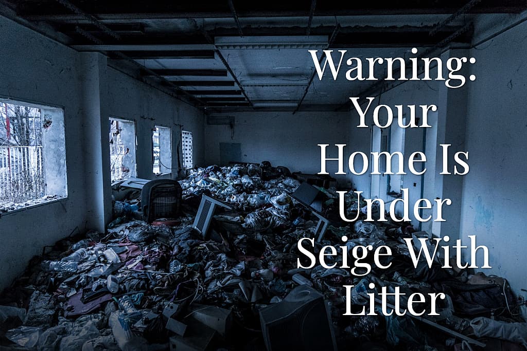 Warning your home is under seige with litter - abandoned building