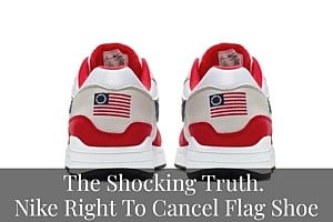 The Shocking Truth. Nike Right To Cancel Flag Shoe - Shivamber