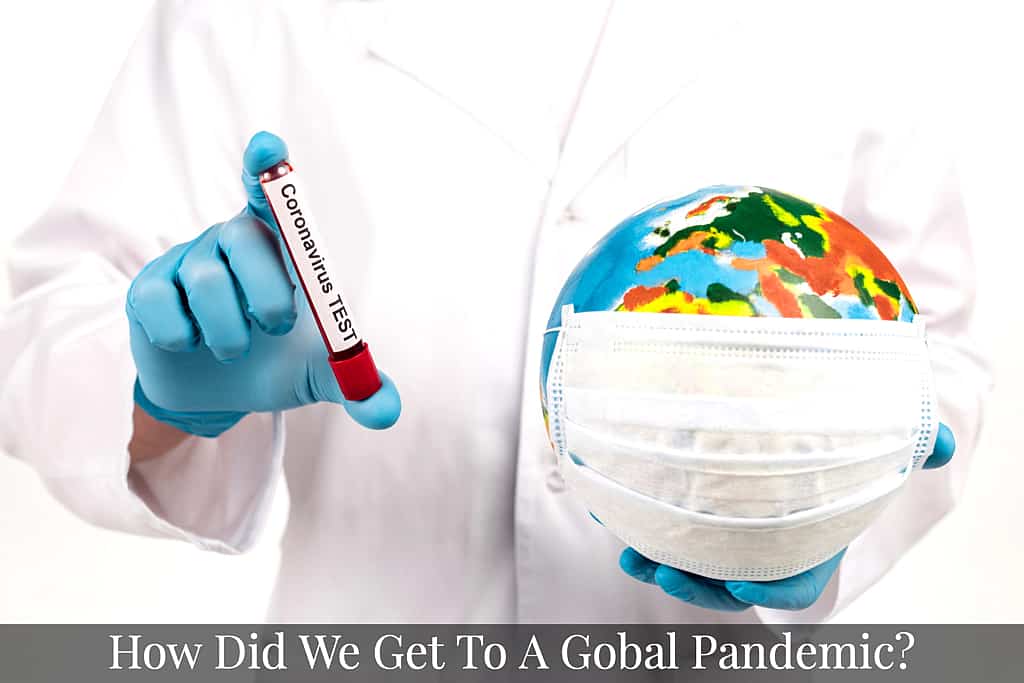 How did we get to a Global Pandemic?