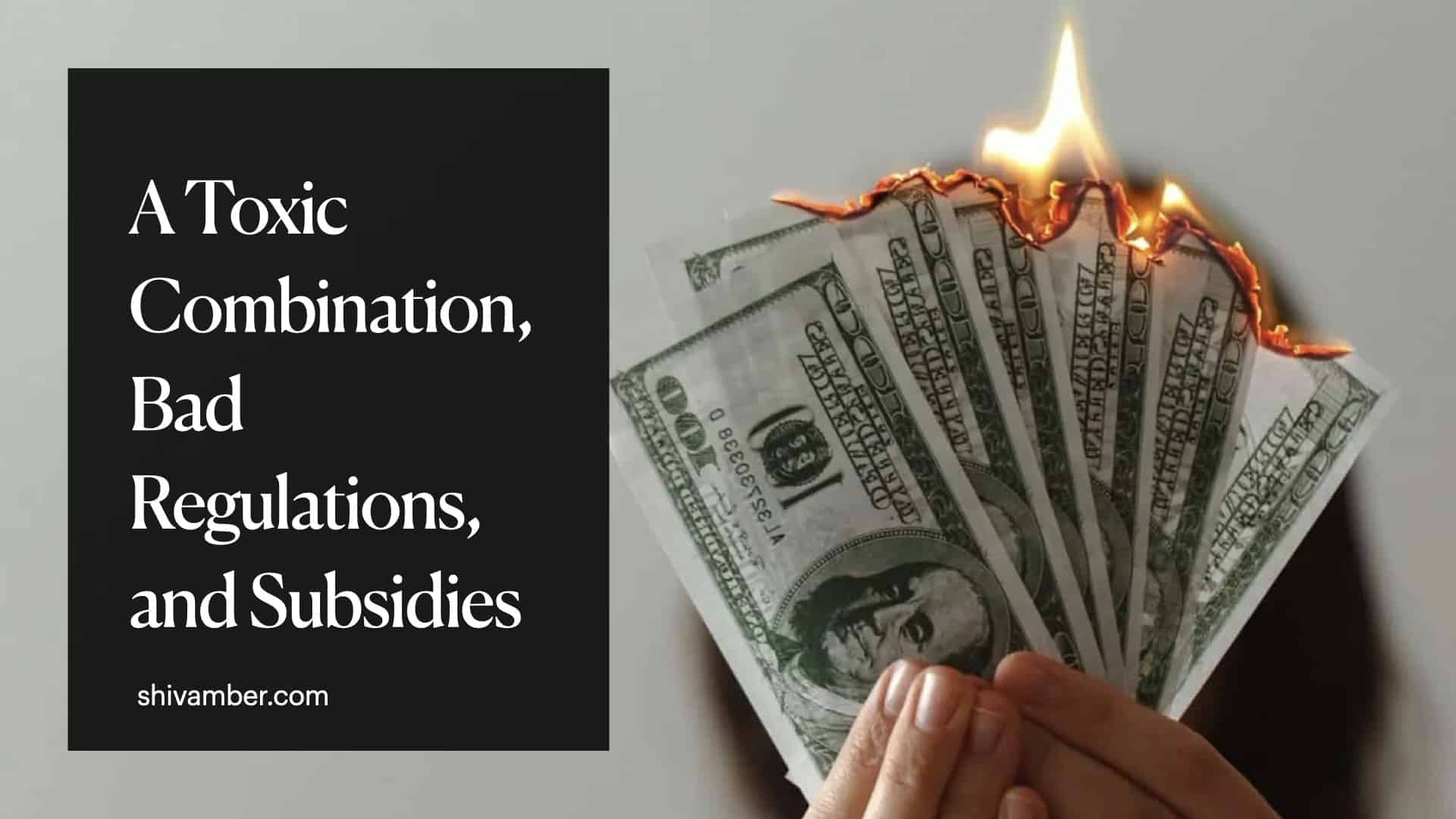 A Toxic Combination, Bad Regulations, and Subsidies